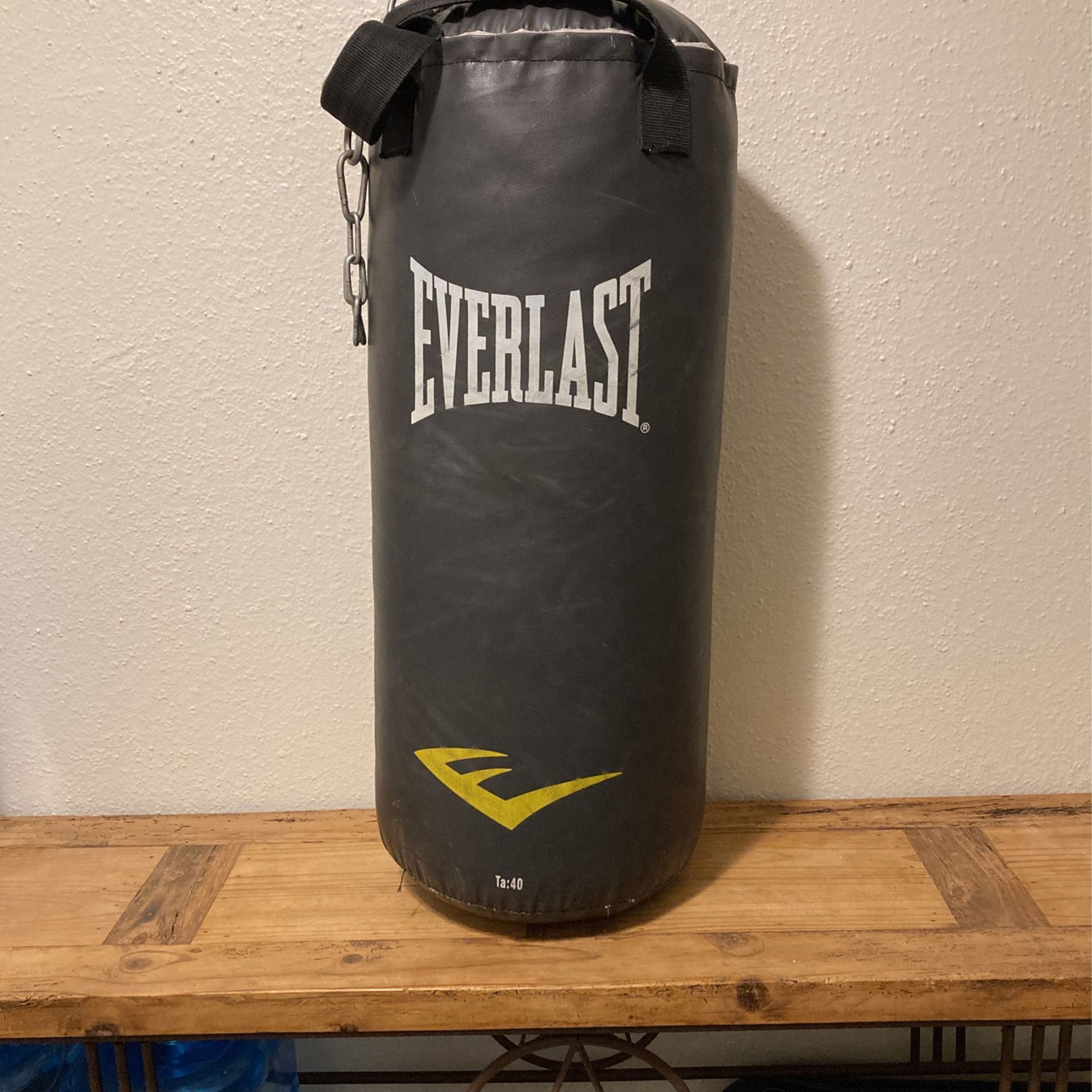 Everlast 40lb Punching Bag