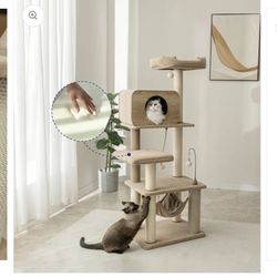Catry Cat Tower