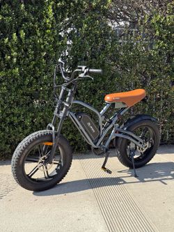Electric Bike