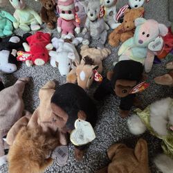 TY Beanie Babies
