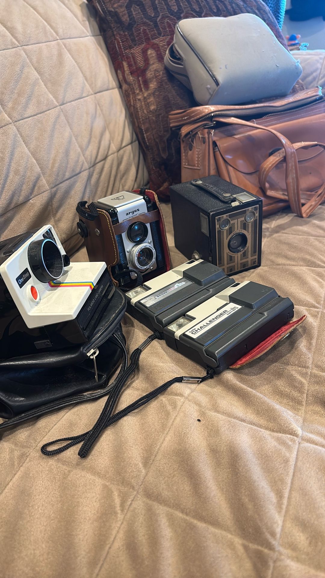 Vintage Camera Collection