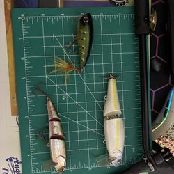 Top Water Baits 