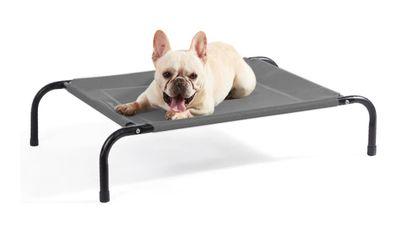 Bedsure Outdoor Elevated Cooling Dog Bed Medium Size Dog, 43in Grey