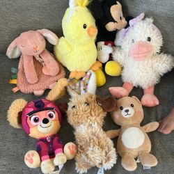 Stuffed Animals