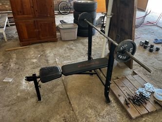 Weights & bench