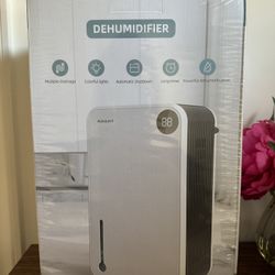 dehumidifier 