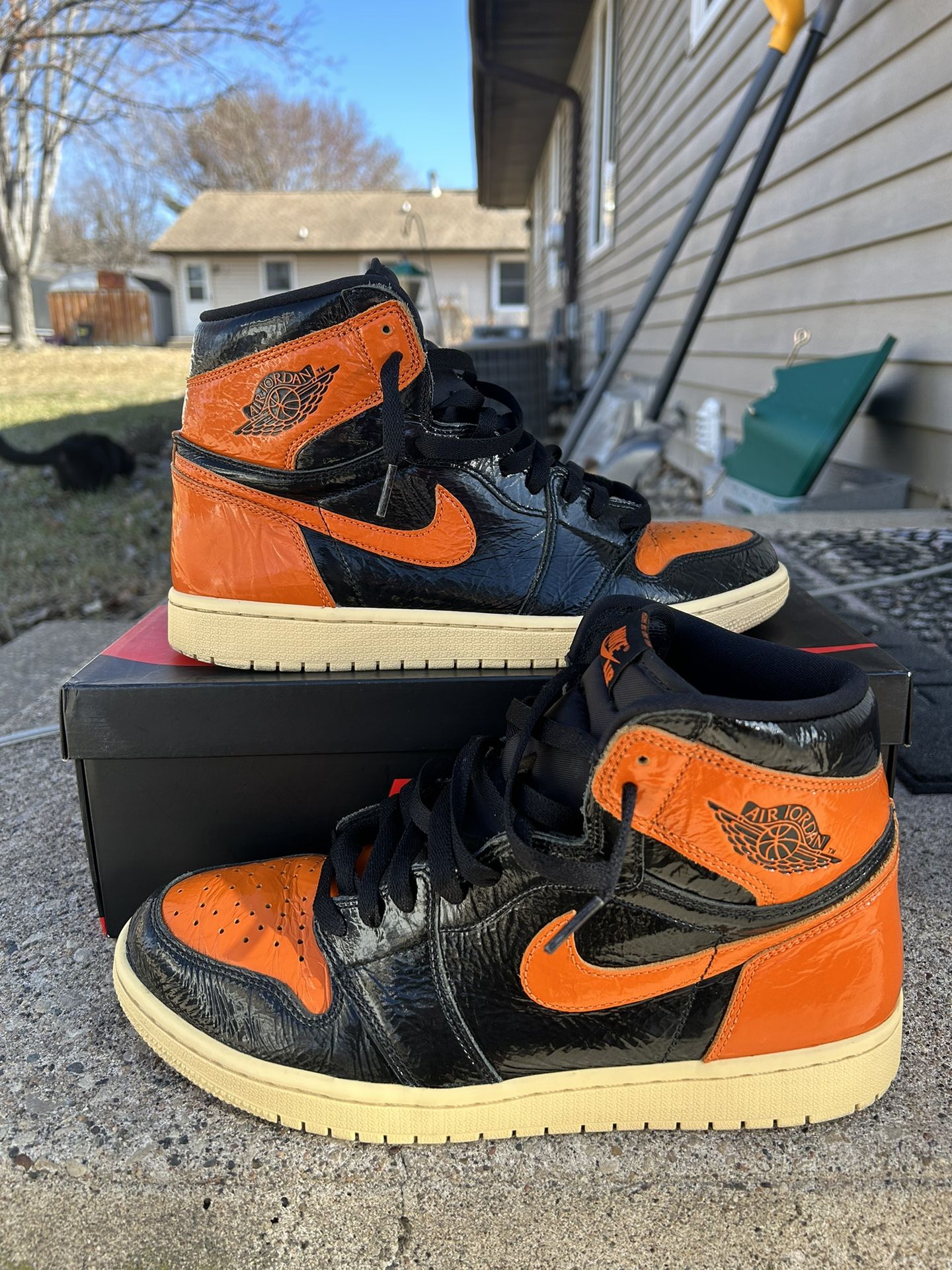 Jordan 1 shattered backboard