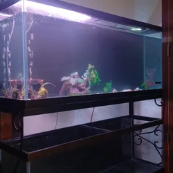 Two tank stand top 75g bottom 65g