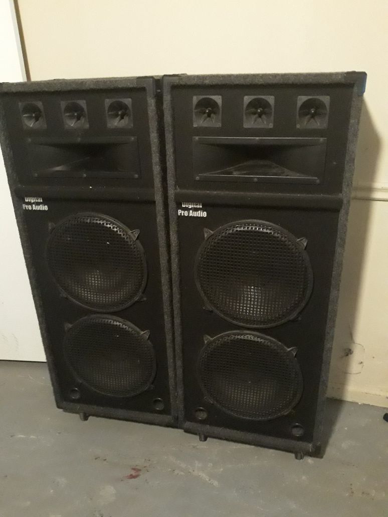 Double 15 inch speaker with Tweeter and Horn