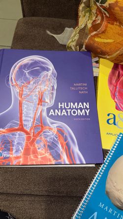 Human Anatomy Ninth Edition Textbook Martini
