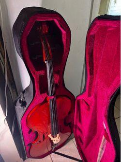 Beautiful cello