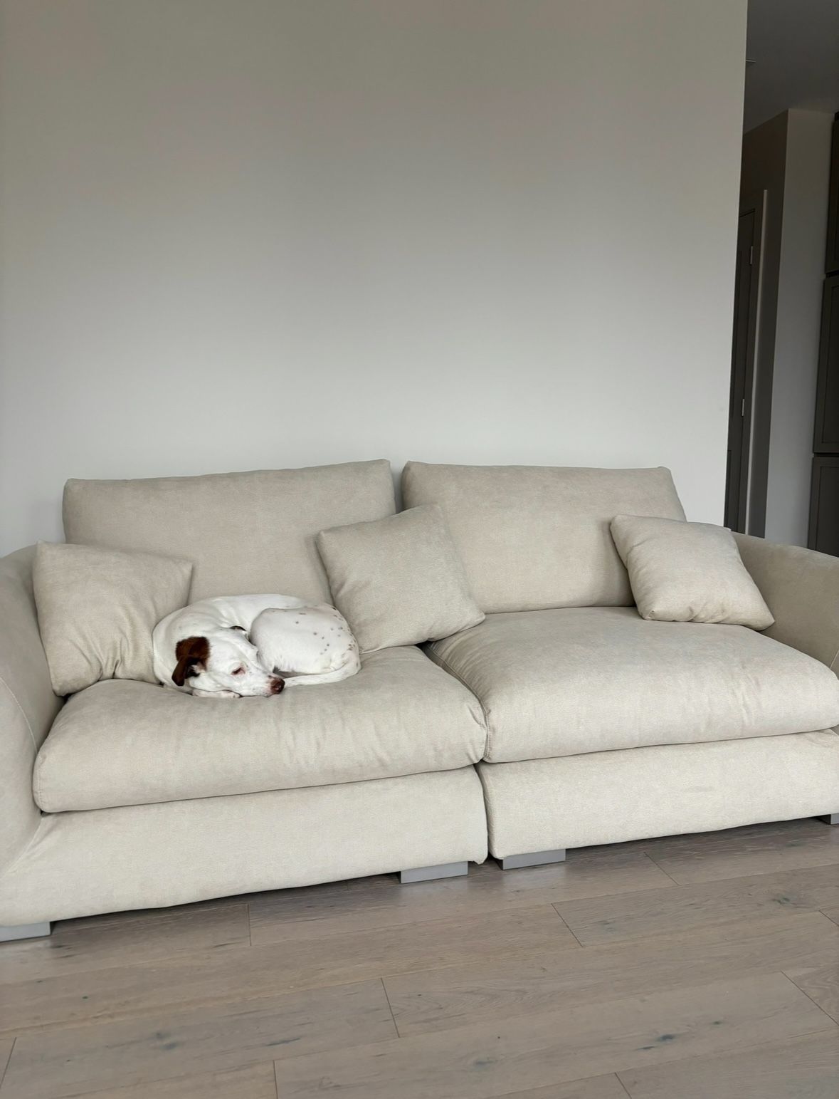 Feathers Sofa