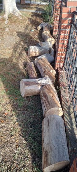 Eucalyptus Firewood