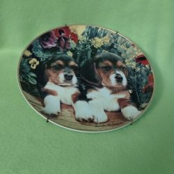 Puppies And Posies Decor Plates Dogs Beagle Floral