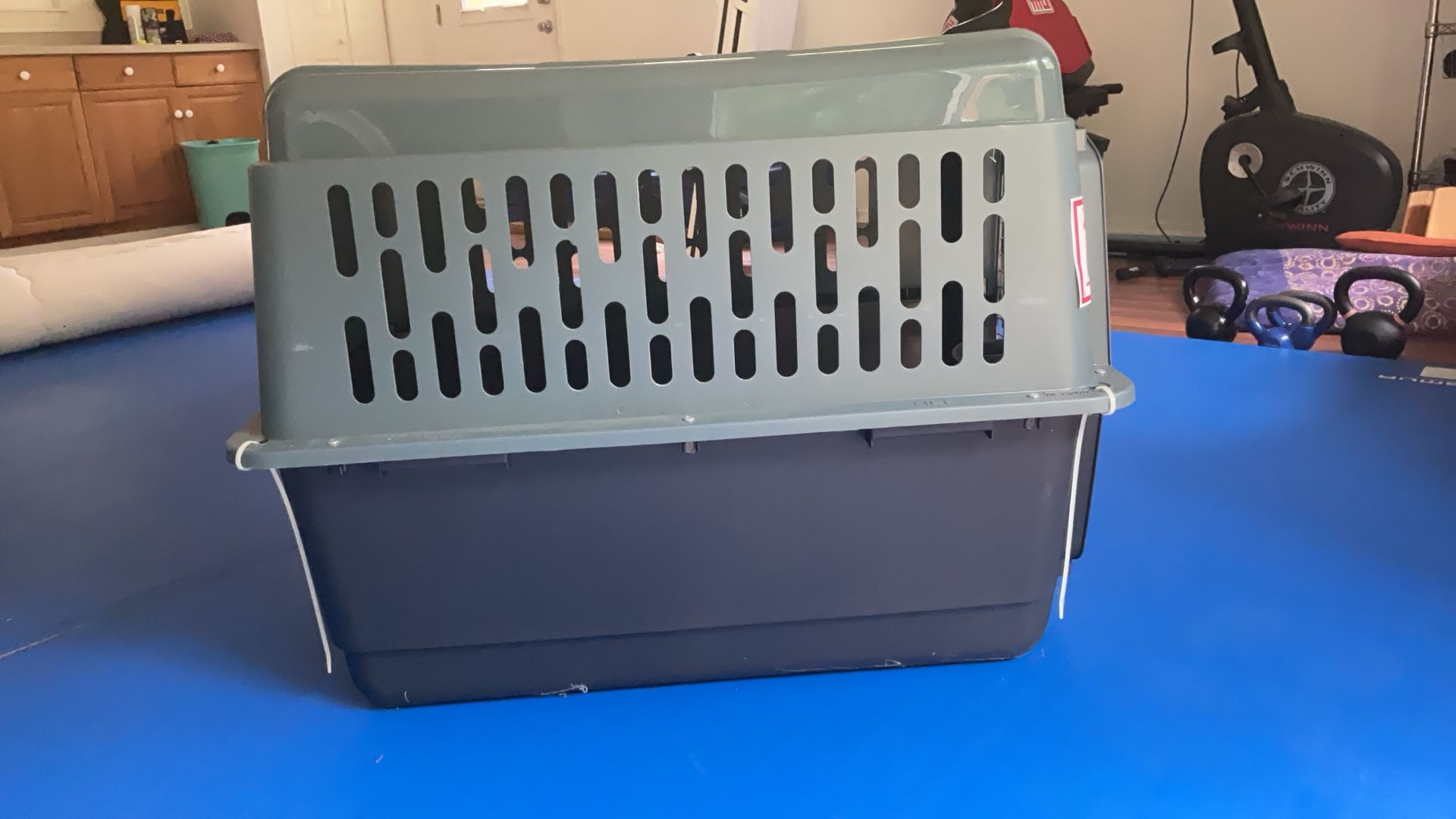 Dog travel crate