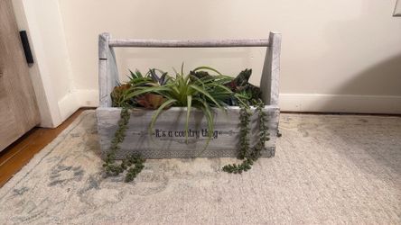 Vintage Toolbox & succulents 