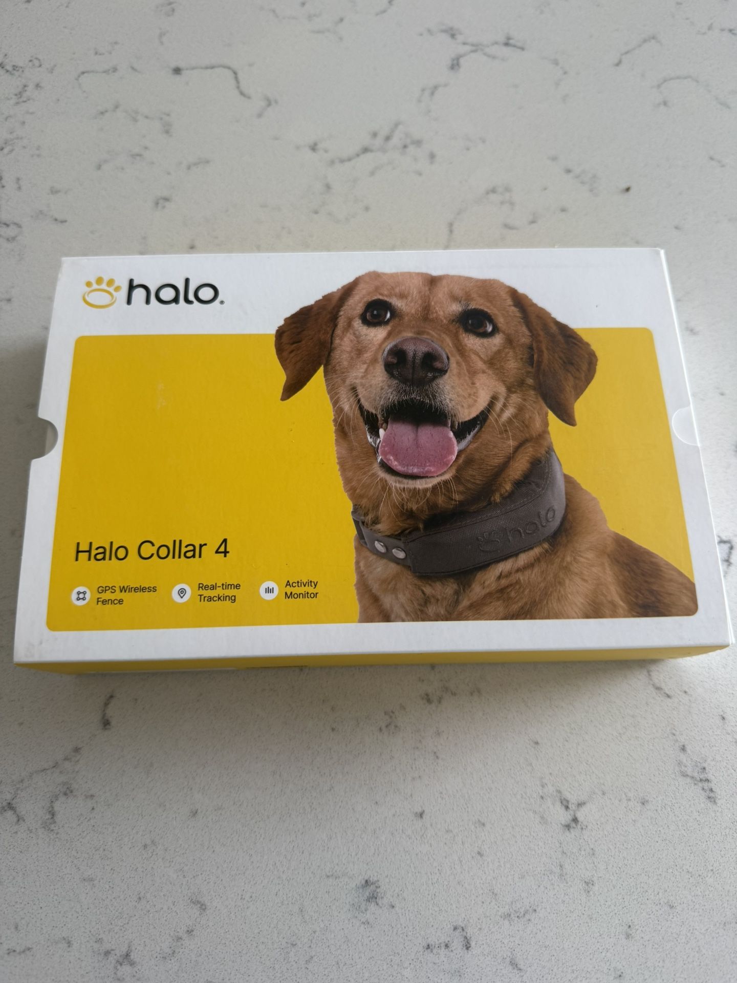 Halo Dog Collar