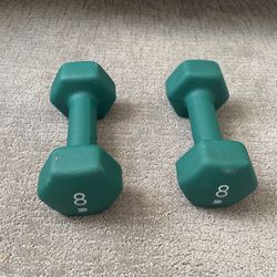 8Lbs Dumbbells
