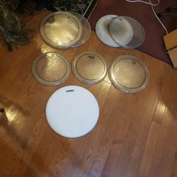 Drum Heads