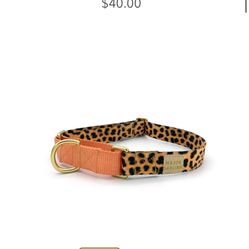 Major Darling Clearance Dog Collars