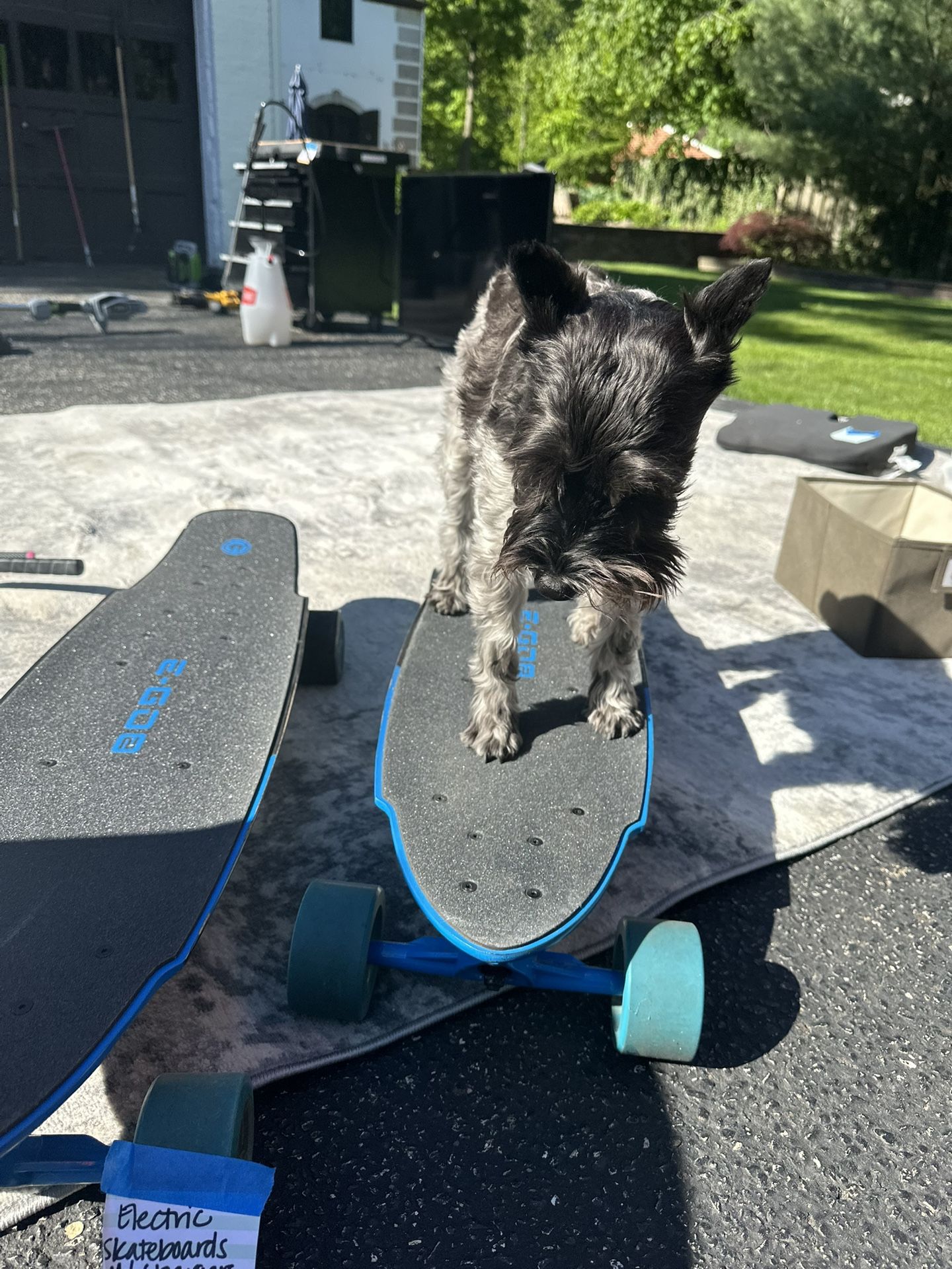 Electric Skateboards