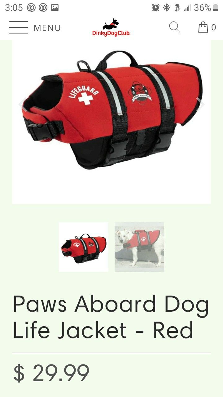 Small Pet Life Vest.