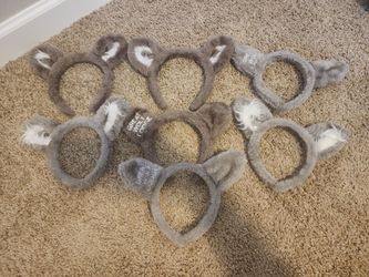 Great Wolf Lodge Ears