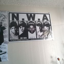 Poster Boards