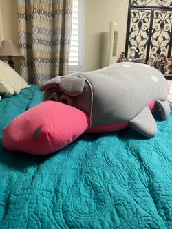 Animal Pool Toy Floaty