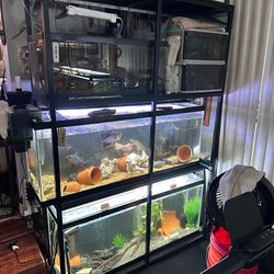 Aquarium Rack for tanks