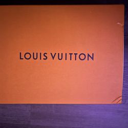 Louis vuttion skater