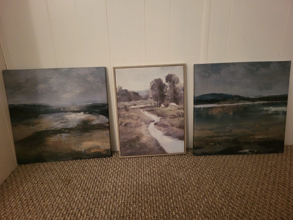 Set Of 3 Canvas Art Wall Decor
