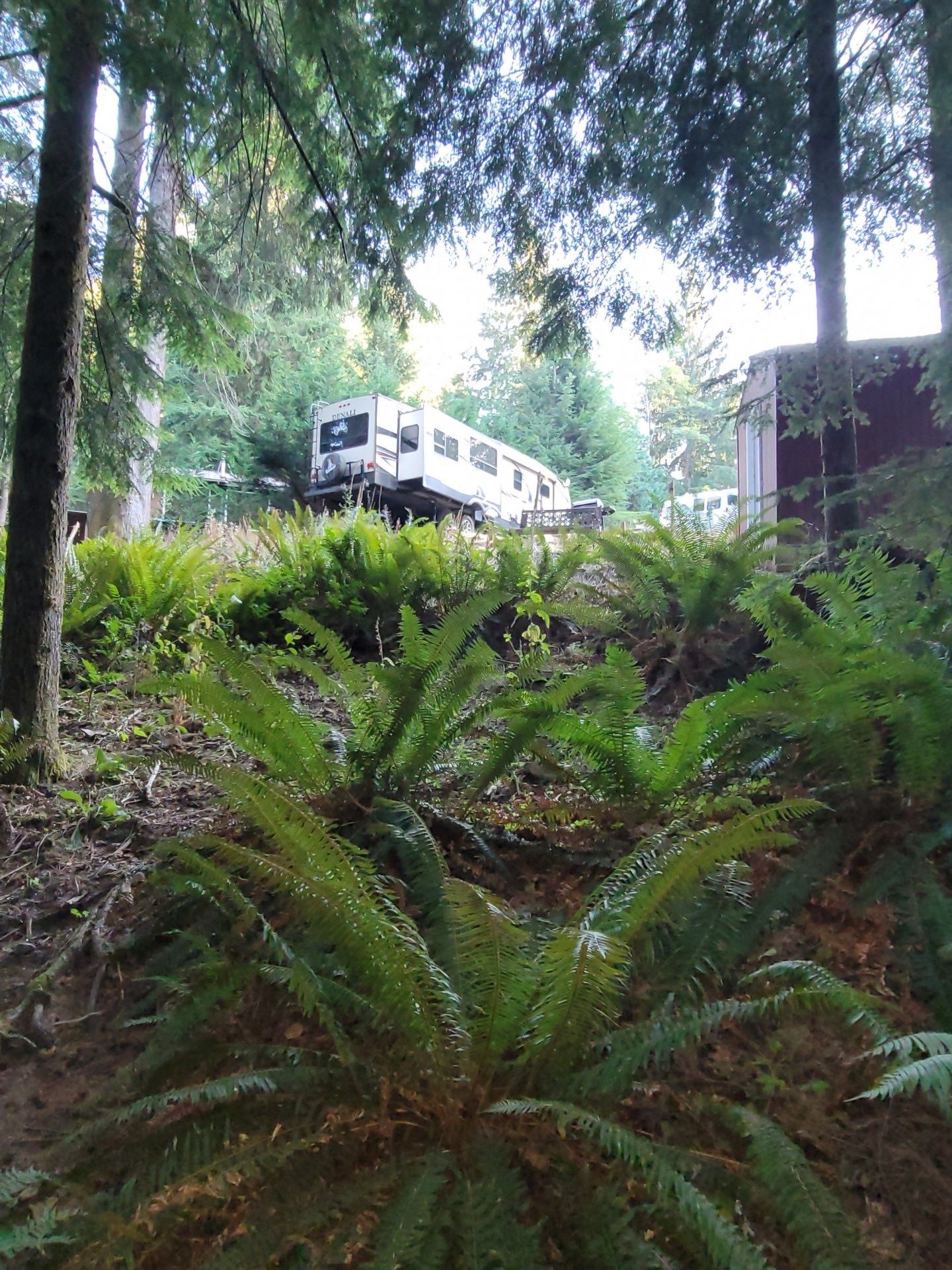 Lake Merwin Campers Hideaway Amboy, WA