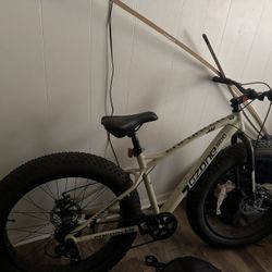 Fat Tire Bike 
