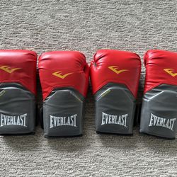 Everlast Boxing Gloves 16 Ounce 2 Pair