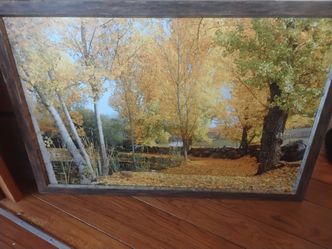 Autumn Woods