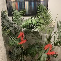 Fake Plants And Picture for Wall