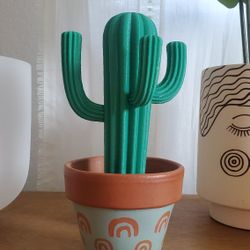 3D Printed Decorative Mini Cactus Succulent 
