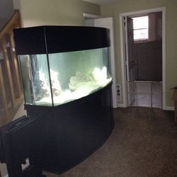 175 Gallon Bow Front Oceanic Tank 