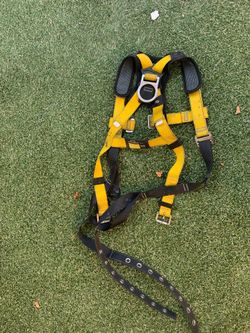 Harness
