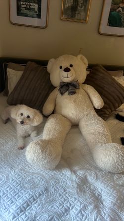 Over size ready bear.
