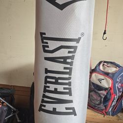 Everlasting Punching Bag New