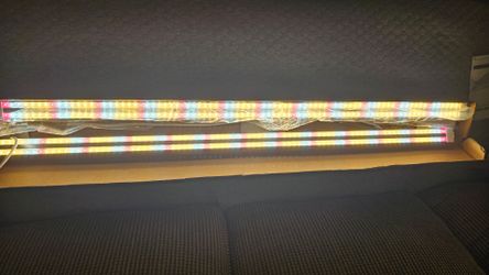 Grow light