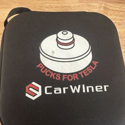 Tesla pucks for Model 3 or Y