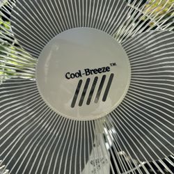 Fan