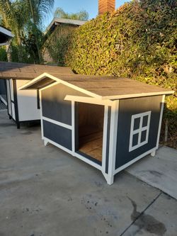 Doghouse