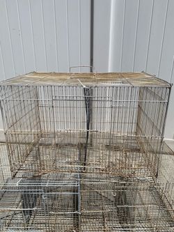 Bird cages