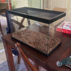10 Gallon Tank Or Terrarium 