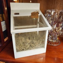 Small Mini Greenhouse/Terrarium with Plastic on the Sides