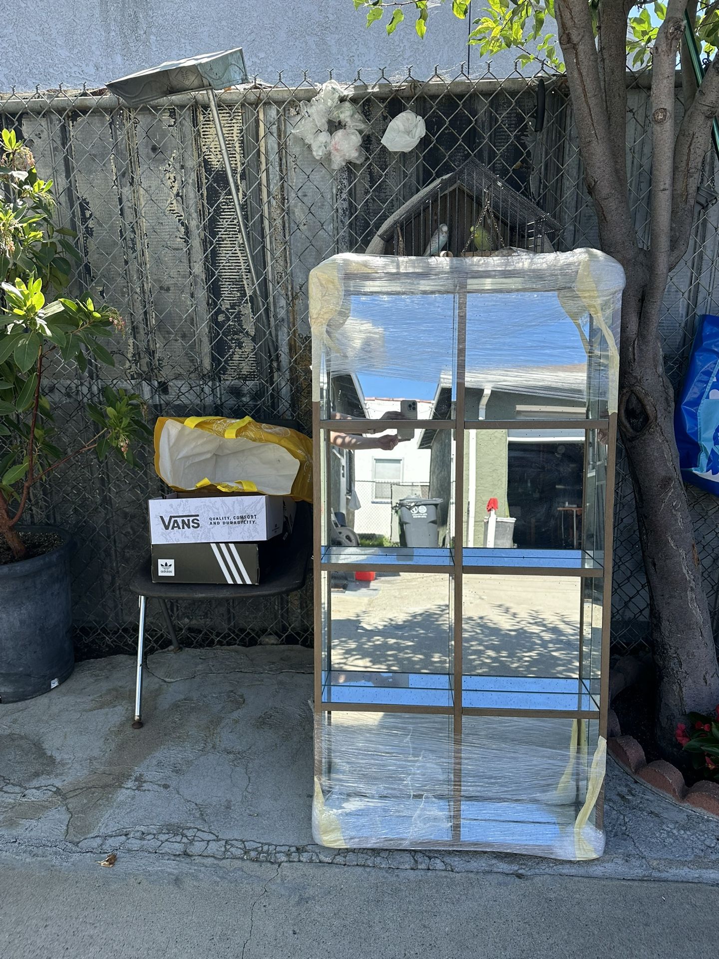 Mirrored Shelf/case